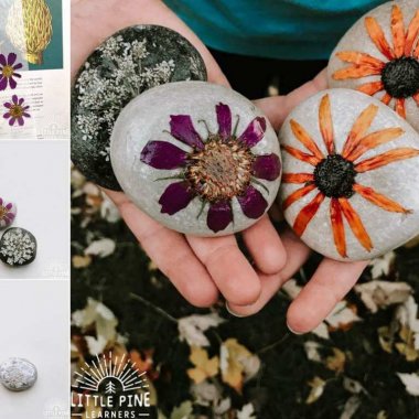 Pressed Flower DIY Crafts