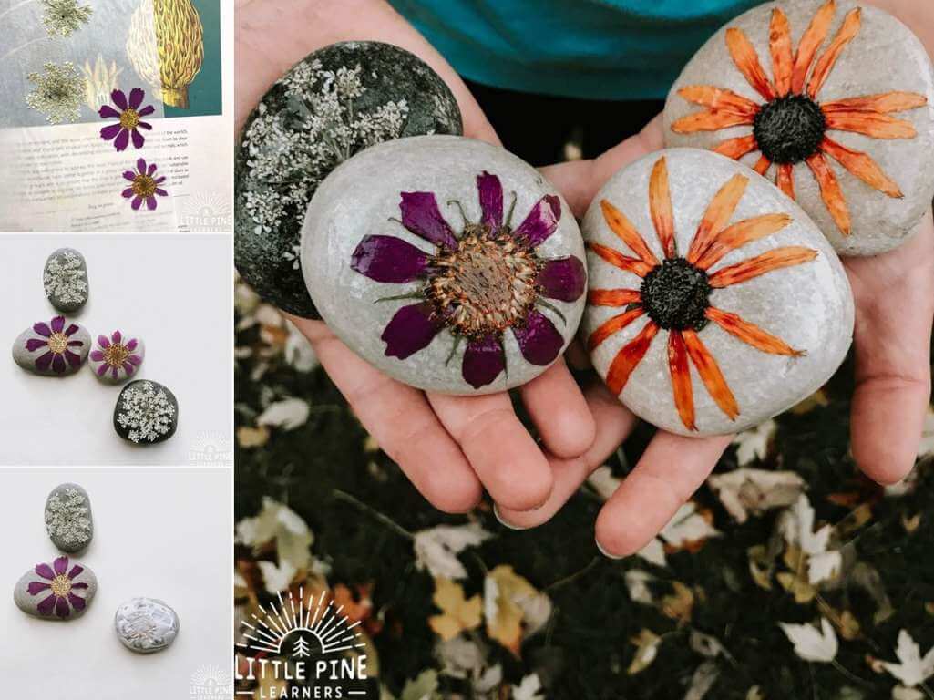 Pressed Flower DIY Crafts