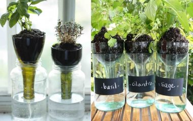 window sill herb garden