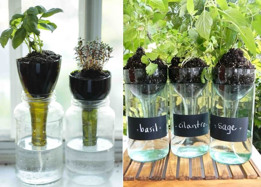 Window Sill Herb Garden Ideas