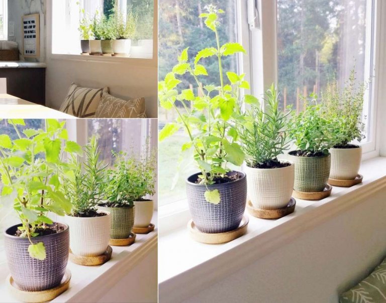 Window Sill Herb Garden Ideas