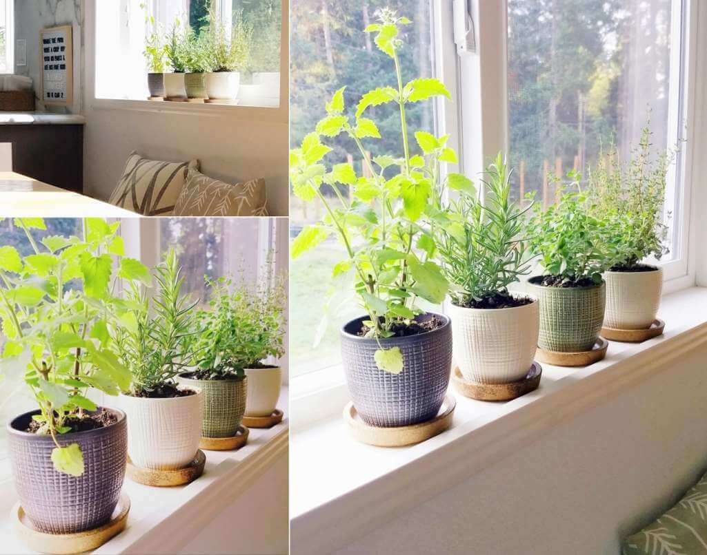 Window Sill Herb Garden Ideas