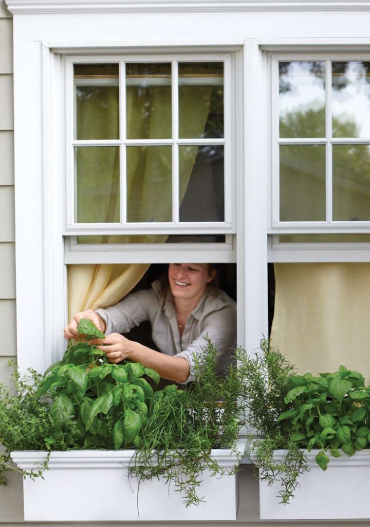 Window Sill Herb Garden Ideas