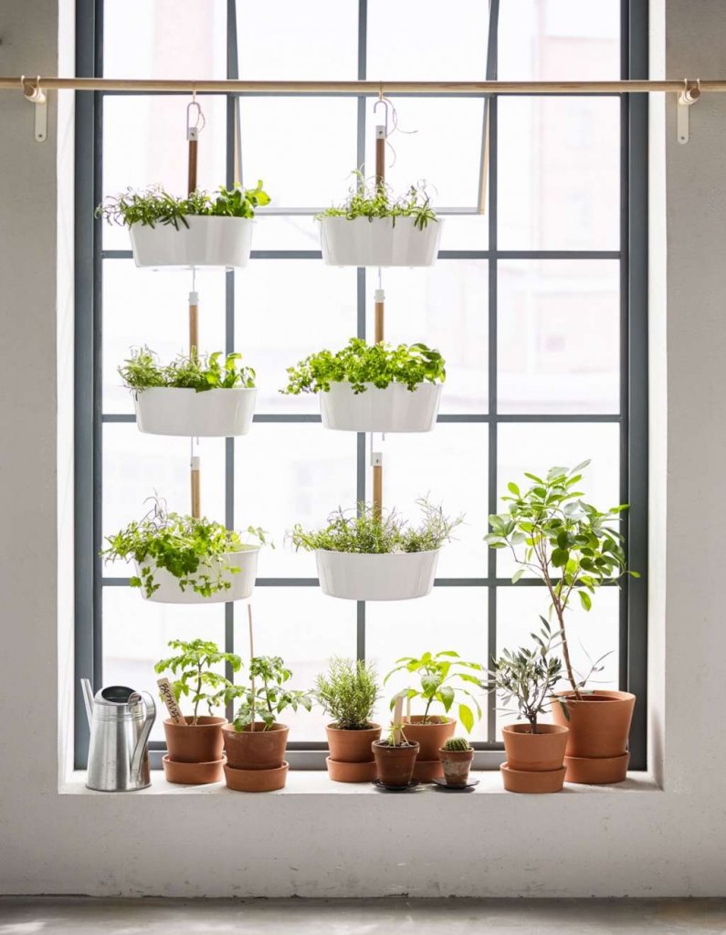 Window Sill Herb Garden Ideas