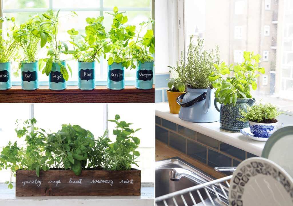 Window Sill Herb Garden Ideas