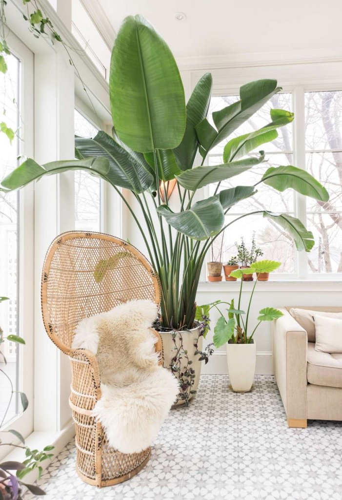 Soothing Decorating Ideas