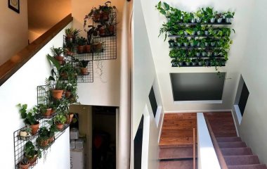 Indoor Plant Wall Ideas