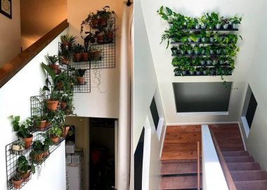 Indoor Plant Wall Ideas