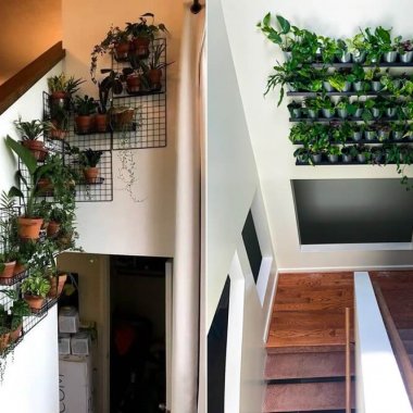 Indoor Plant Wall Ideas