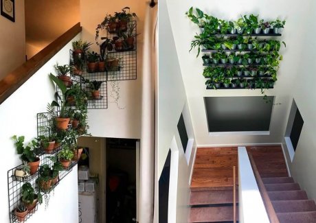 Indoor Plant Wall Ideas