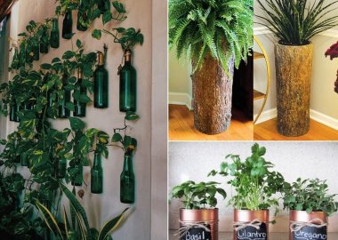 15 Best Houseplant Containers