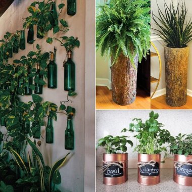 15 Best Houseplant Containers