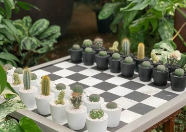 Garden chess board