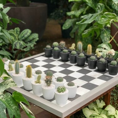 Garden chess board