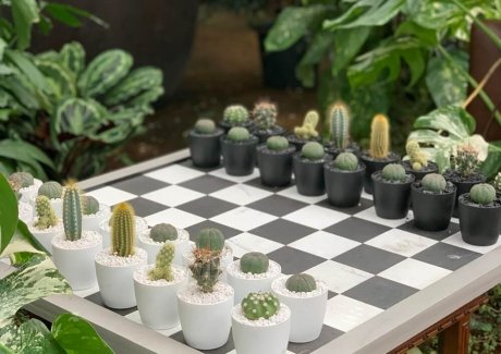 Garden chess board