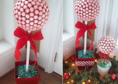 Peppermint Topiary
